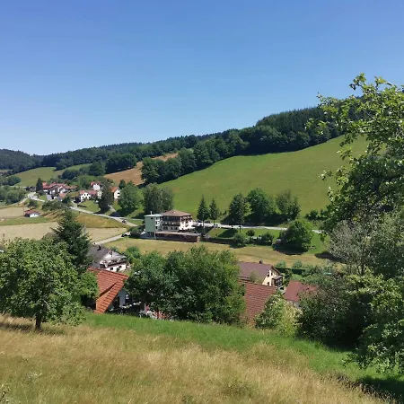 Hotel Gruener Baum Mit Restaurant & Wellness 3*