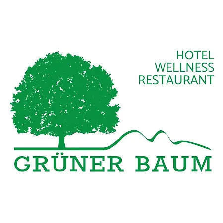 Hotel Gruener Baum Mit Restaurant & Wellness Oberzent