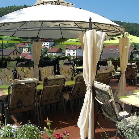 Hotel Gruener Baum Mit Restaurant & Wellness