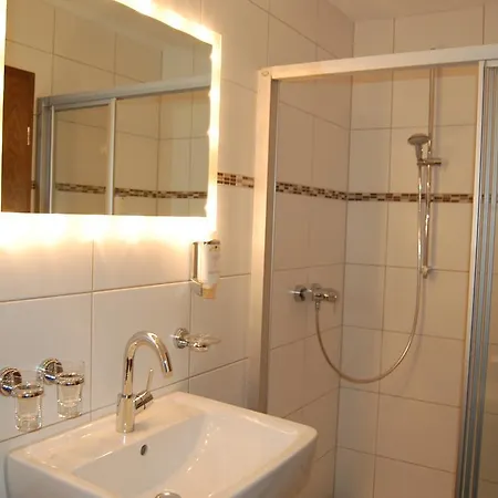 Hotel Gruener Baum Mit Restaurant & Wellness 3* Oberzent
