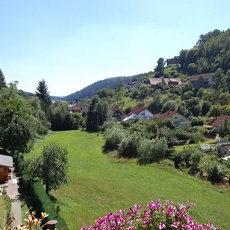 Gruener Baum Mit Restaurant & Wellness Hotel Oberzent