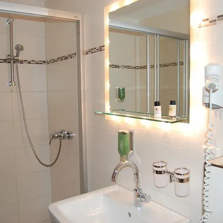 Gruener Baum Mit Restaurant & Wellness Hotel Oberzent