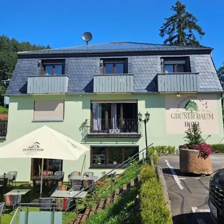 Hotel Gruener Baum Mit Restaurant & Wellness Oberzent
