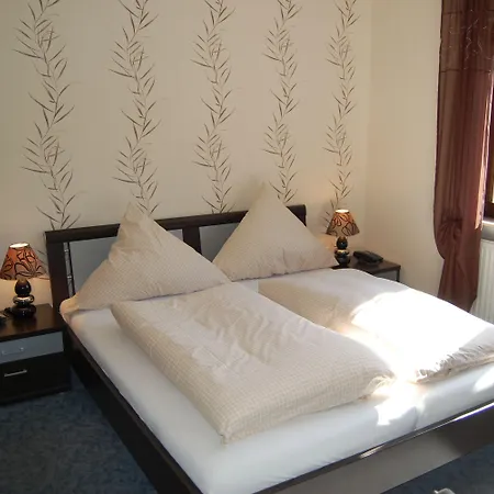 Hotel Gruener Baum Mit Restaurant & Wellness 3*