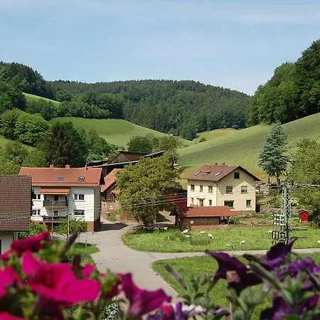 Gruener Baum Mit Restaurant & Wellness Hotel Oberzent