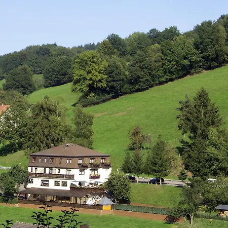 Hotel Gruener Baum Mit Restaurant & Wellness