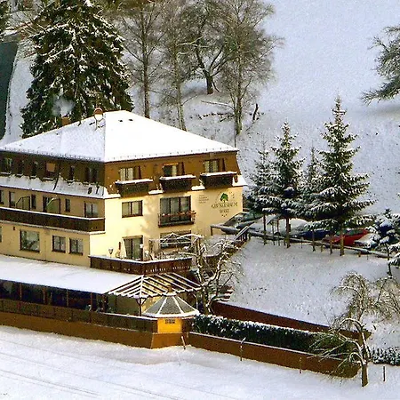 Gruener Baum Mit Restaurant & Wellness