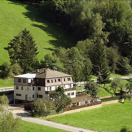 Gruener Baum Mit Restaurant & Wellness Hotel