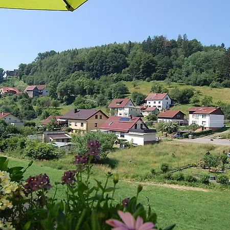 Gruener Baum Mit Restaurant & Wellness Oberzent