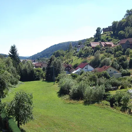 Gruener Baum Mit Restaurant & Wellness Hotel 3*