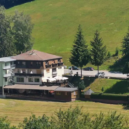 Gruener Baum Mit Restaurant & Wellness Hotel 3*