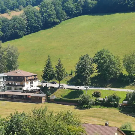 Gruener Baum Mit Restaurant & Wellness