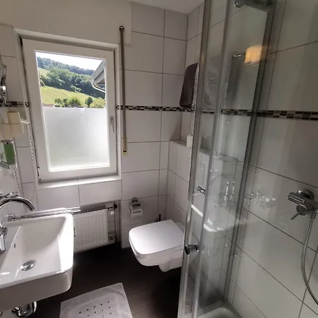 Gruener Baum Mit Restaurant & Wellness ホテル 3*