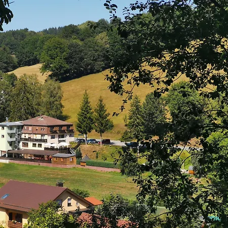 Gruener Baum Mit Restaurant & Wellness 3* Oberzent