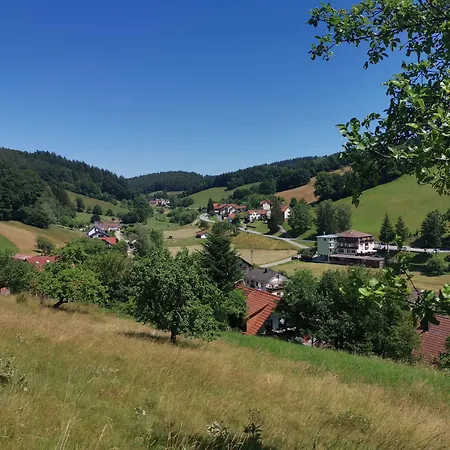 Hotel Gruener Baum Mit Restaurant & Wellness