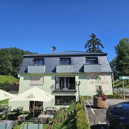 Gruener Baum Mit Restaurant & Wellness Hotel