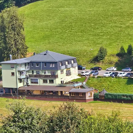 Hotel Gruener Baum Mit Restaurant & Wellness Oberzent