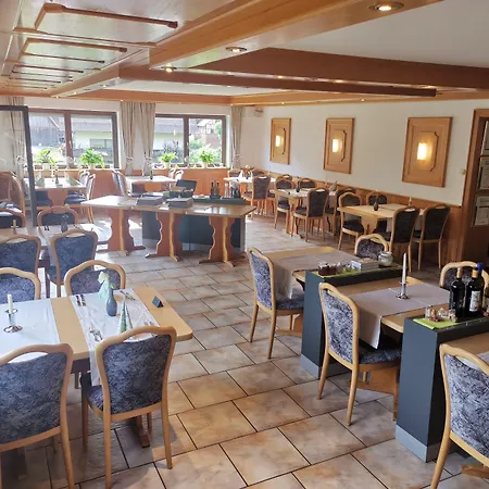 Gruener Baum Mit Restaurant & Wellness Hotel