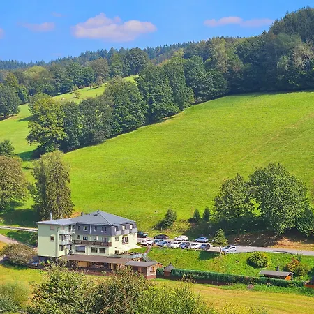 Hotel Gruener Baum Mit Restaurant & Wellness