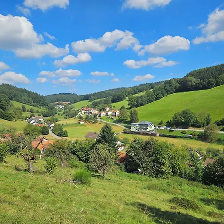 Gruener Baum Mit Restaurant & Wellness