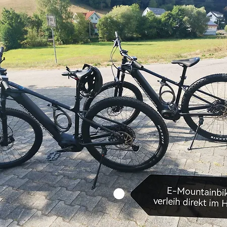 Gruener Baum Mit Restaurant & Wellness Oberzent