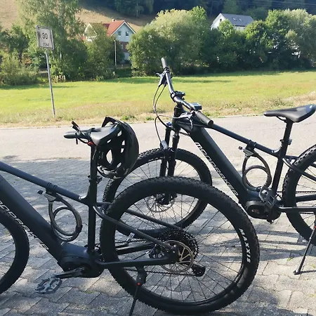 Gruener Baum Mit Restaurant & Wellness Oberzent