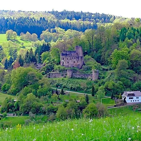Gruener Baum Mit Restaurant & Wellness Hotell Oberzent