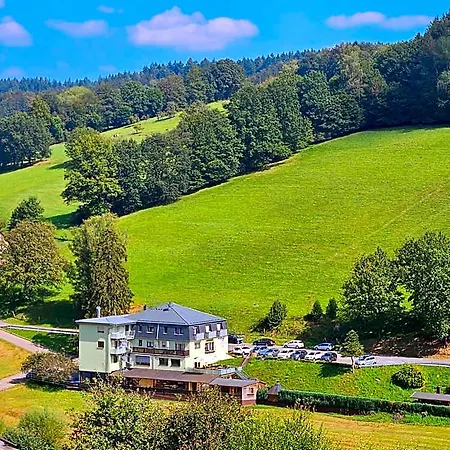Hotell Gruener Baum Mit Restaurant & Wellness 3*