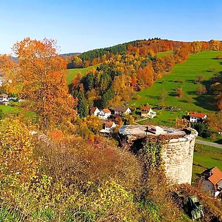 Gruener Baum Mit Restaurant & Wellness Hotell 3*
