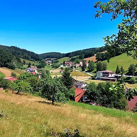 Gruener Baum Mit Restaurant & Wellness Oberzent