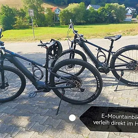 Gruener Baum Mit Restaurant & Wellness
