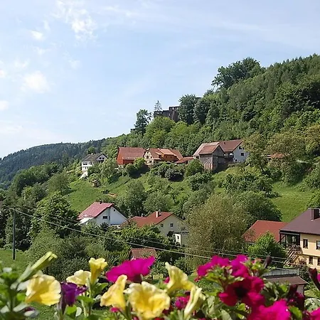 Hotel Gruener Baum Mit Restaurant & Wellness Hotel
