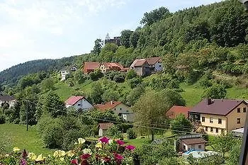 Hotel Gruener Baum Mit Restaurant & Wellness 3*