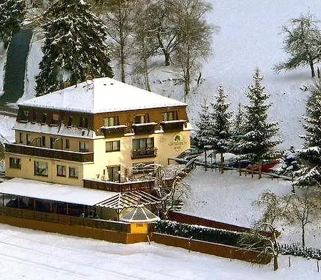 Hotel Gruener Baum Mit Restaurant & Wellness 3* Oberzent