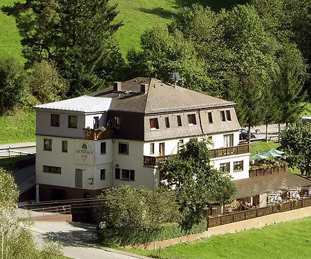 ホテル Gruener Baum Mit Restaurant & Wellness Oberzent