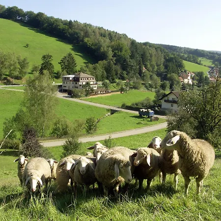 Gruener Baum Mit Restaurant & Wellness Hotel Oberzent
