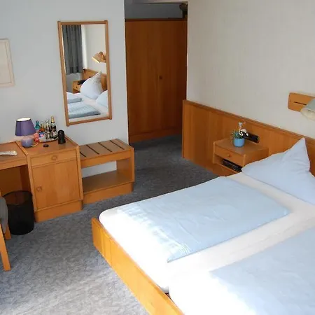 Hotel Gruener Baum Mit Restaurant & Wellness Oberzent
