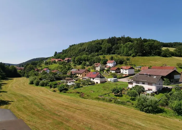 Hotel Gruener Baum Mit Restaurant & Wellness Oberzent