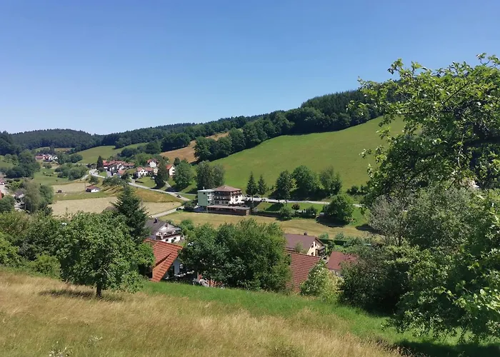 Hotel Gruener Baum Mit Restaurant & Wellness 3*