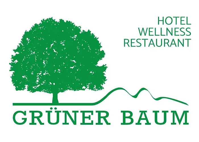 Gruener Baum Mit Restaurant & Wellness Oberzent