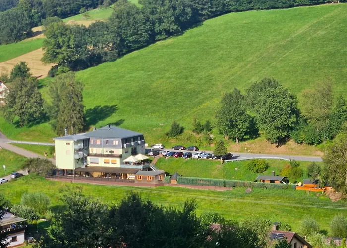 Gruener Baum Mit Restaurant & Wellness