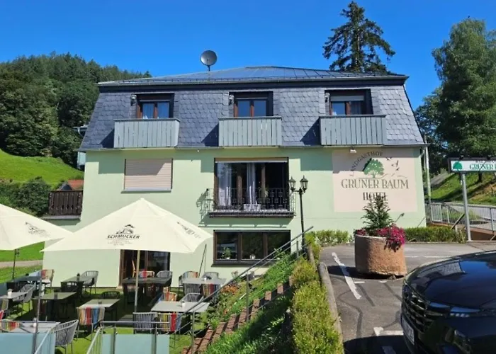 Hotel Gruener Baum Mit Restaurant & Wellness Oberzent