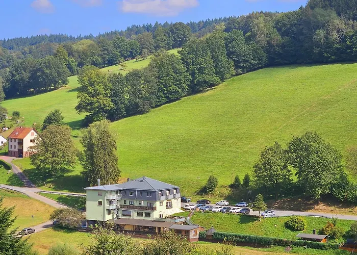 Gruener Baum Mit Restaurant & Wellness Hotel 3*