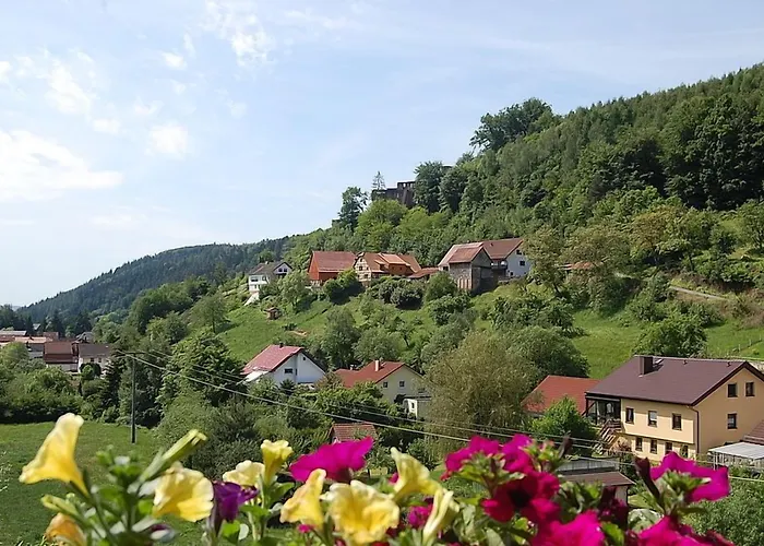 Gruener Baum Mit Restaurant & Wellness Hotel 3*