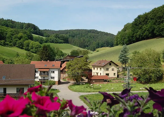 Gruener Baum Mit Restaurant & Wellness Hotel Oberzent