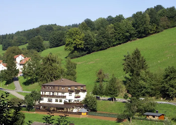 Hotel Gruener Baum Mit Restaurant & Wellness