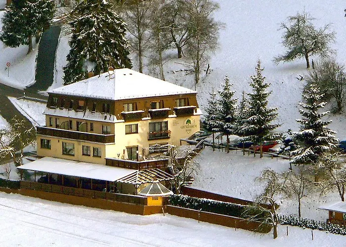 Gruener Baum Mit Restaurant & Wellness