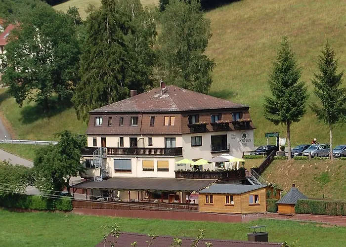 Hotel Gruener Baum Mit Restaurant & Wellness 3*