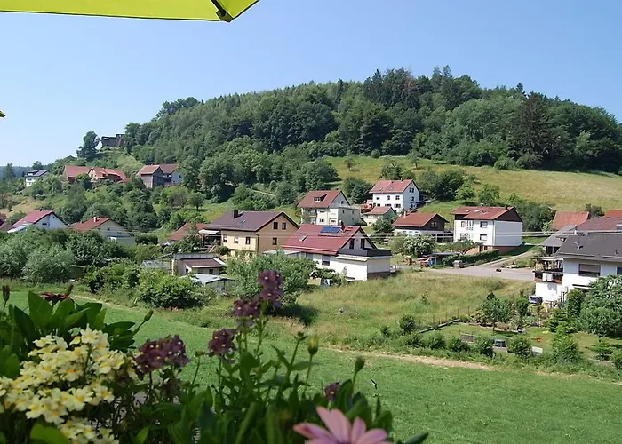 Gruener Baum Mit Restaurant & Wellness Oberzent