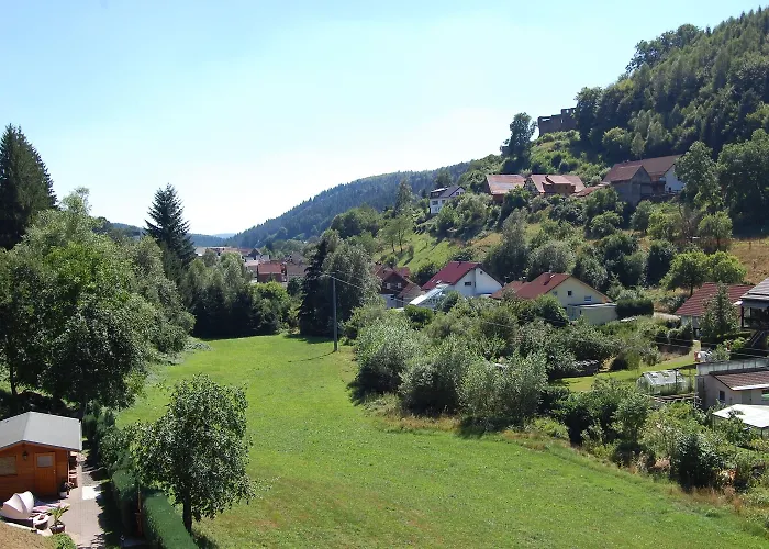 Gruener Baum Mit Restaurant & Wellness Hotel 3*